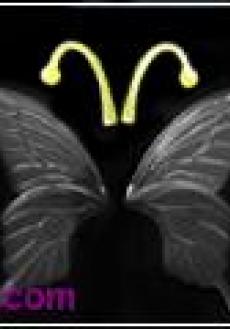 butterfly set(black)