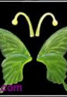 butterfly set(green)