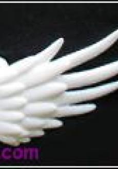 small type angel wings(white)