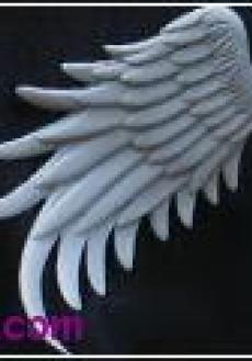 big type angel wings(gray)