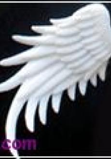 big type angel wings(white)