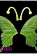 butterfly set(green)