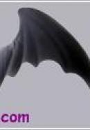 bat wings(black)