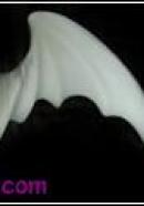 bat wings(white)