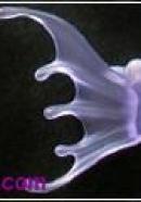 ocean lindworm ears(lavender)