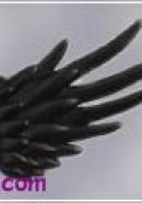 small type angel wings(black)