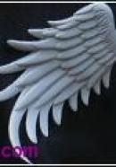 big type angel wings(gray)