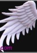 big type angel wings(lavender)