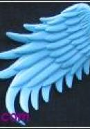 big type angel wings(blue)