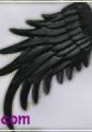 big type angel wings(black)