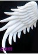 big type angel wings(white)